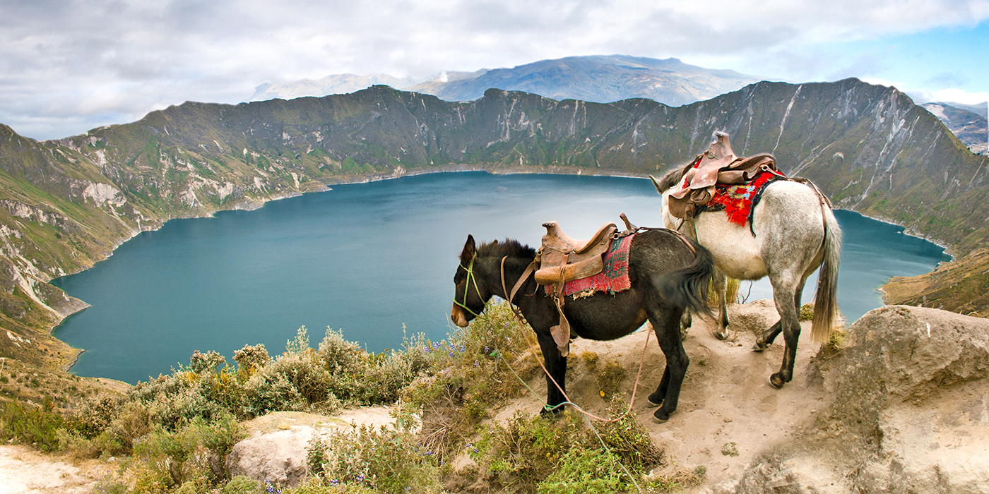Ecuador Reisen - Ihr Spezialist Papaya Tours