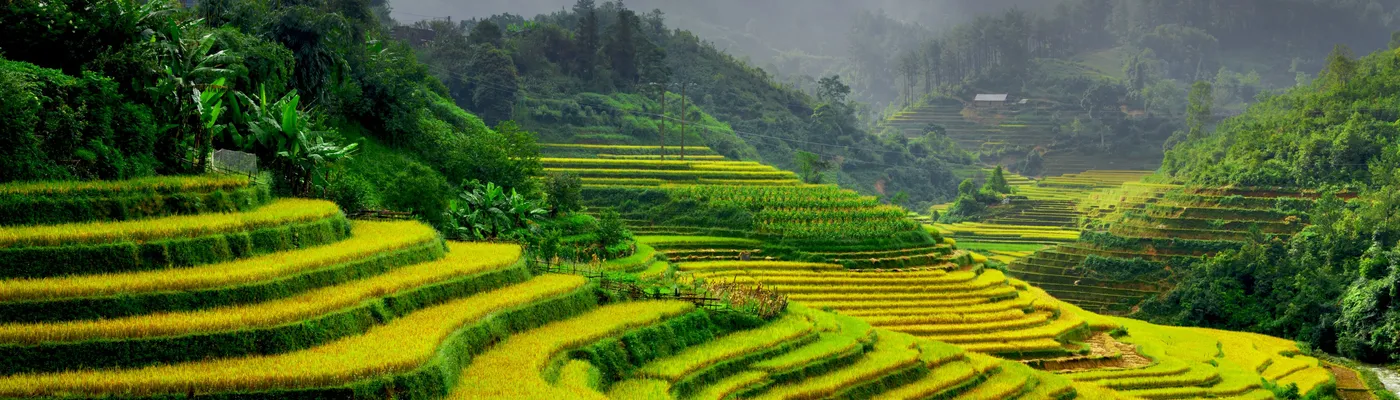 Vietnam Reis Felder Mu Cang Chai - Wanderung Sapa Rundreise Vietnam