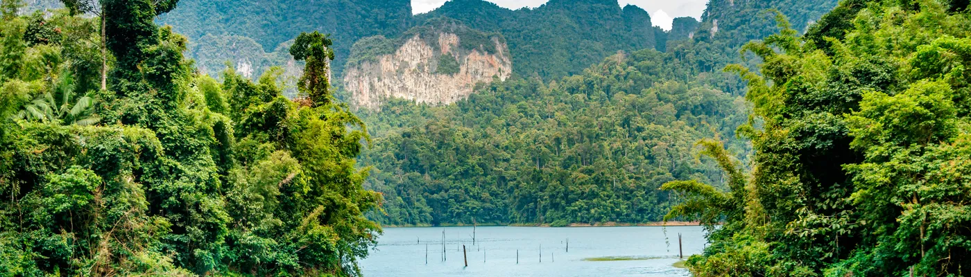 Thailand_Khao Sok Nationalpark