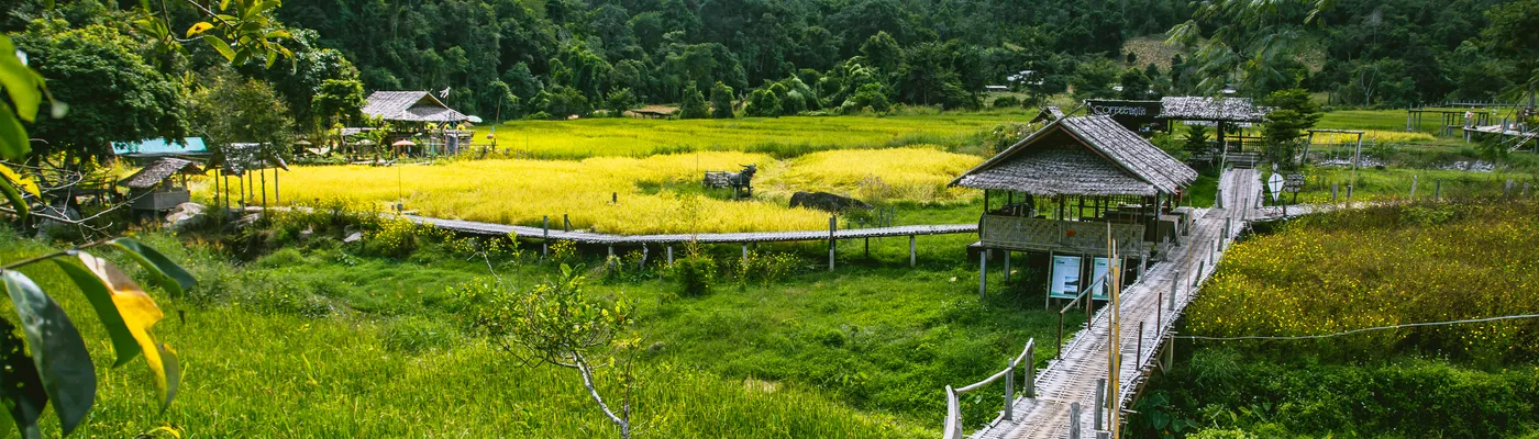 Thailand_Pai_Reisfelder_Holzhaus