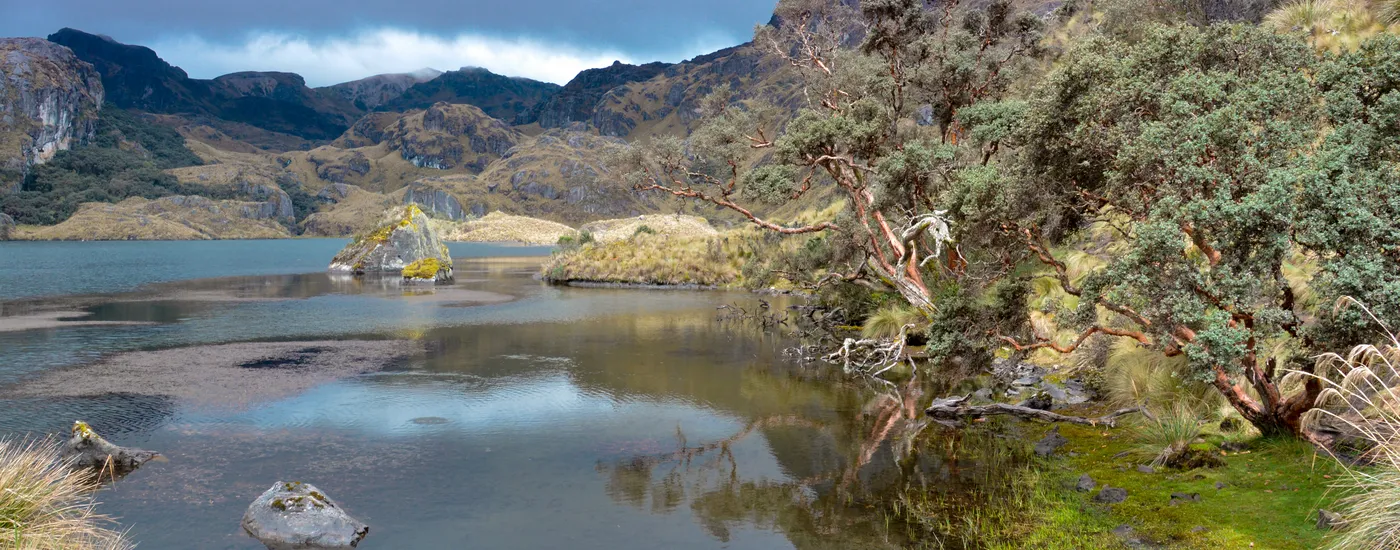 ecuador cajas nationalpark