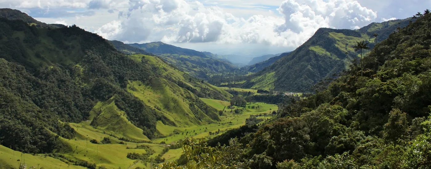 Cocora-Tal in Kolumbien Panorama