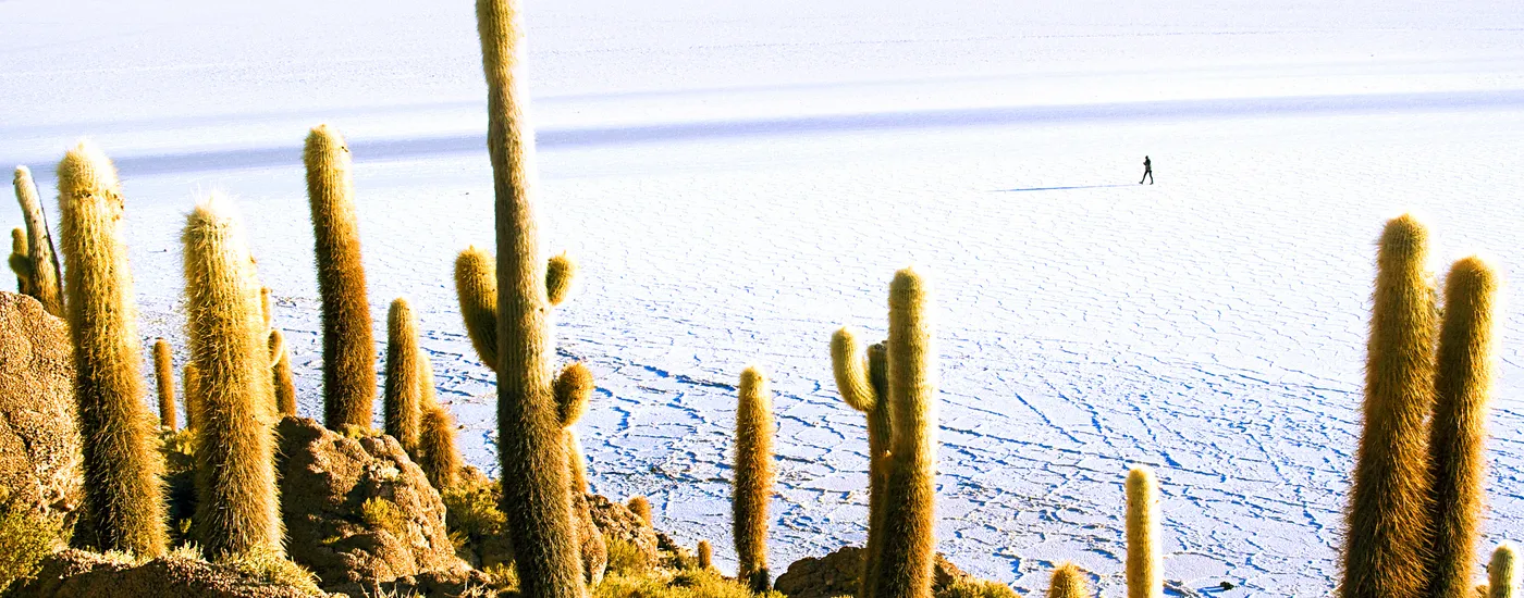 Ausblick von der Isla del Sol auf die Königskordilliere