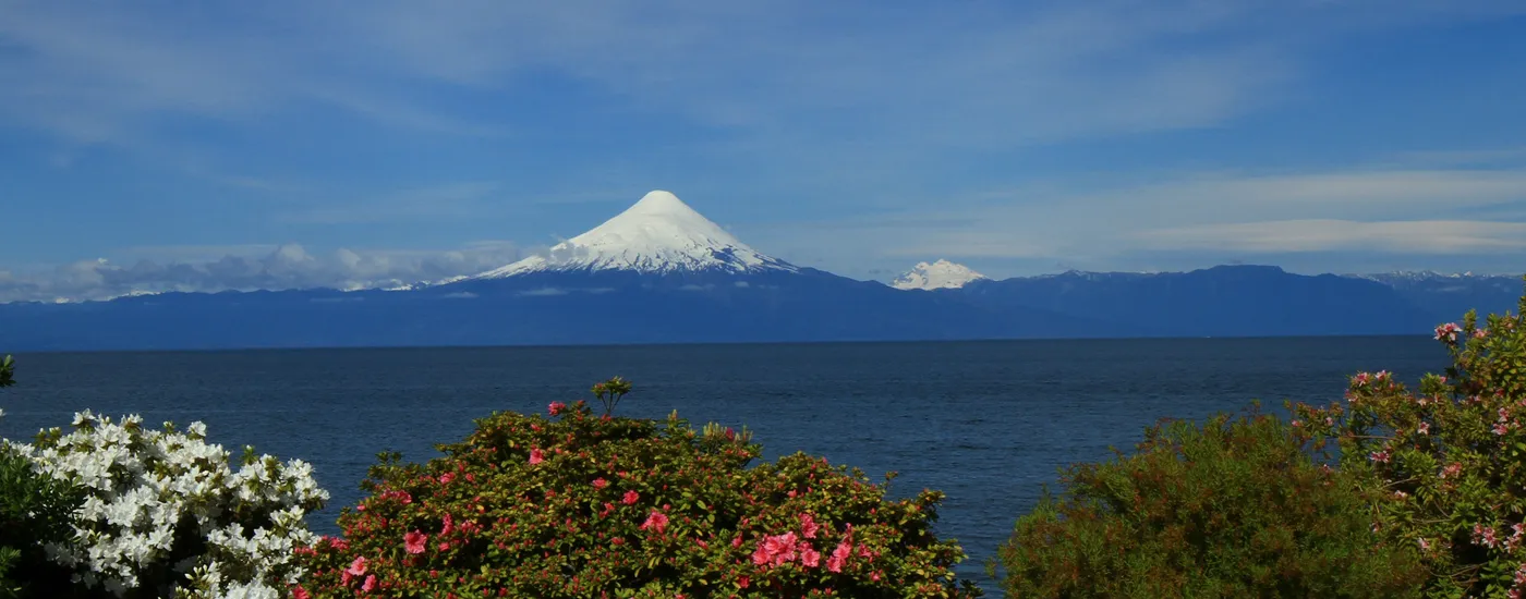 Chile Seengebiet Puerto Varas Osorno Aromabild