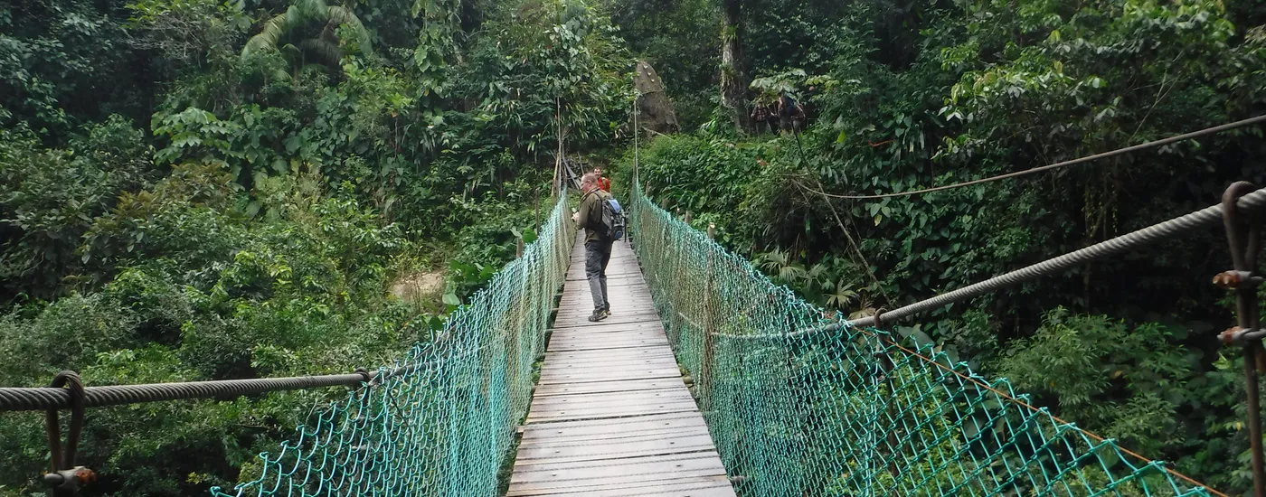 Kolumbien Ciudad Perdida Hängebrücke