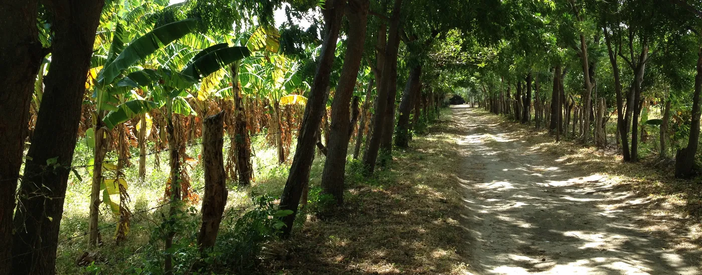 Nicaragua Straße