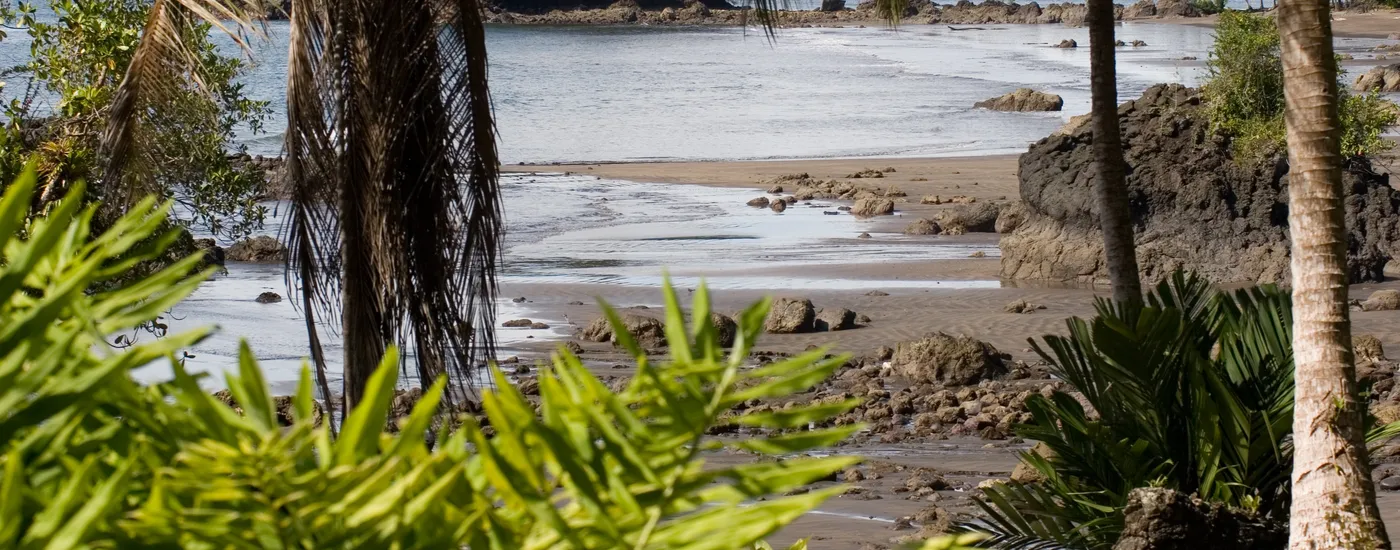 Kolumbien Nuqui Strand
