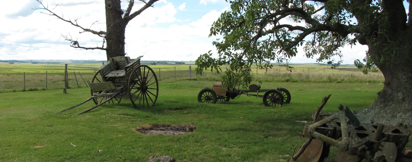Uruguay Estancia los Platanos Bild
