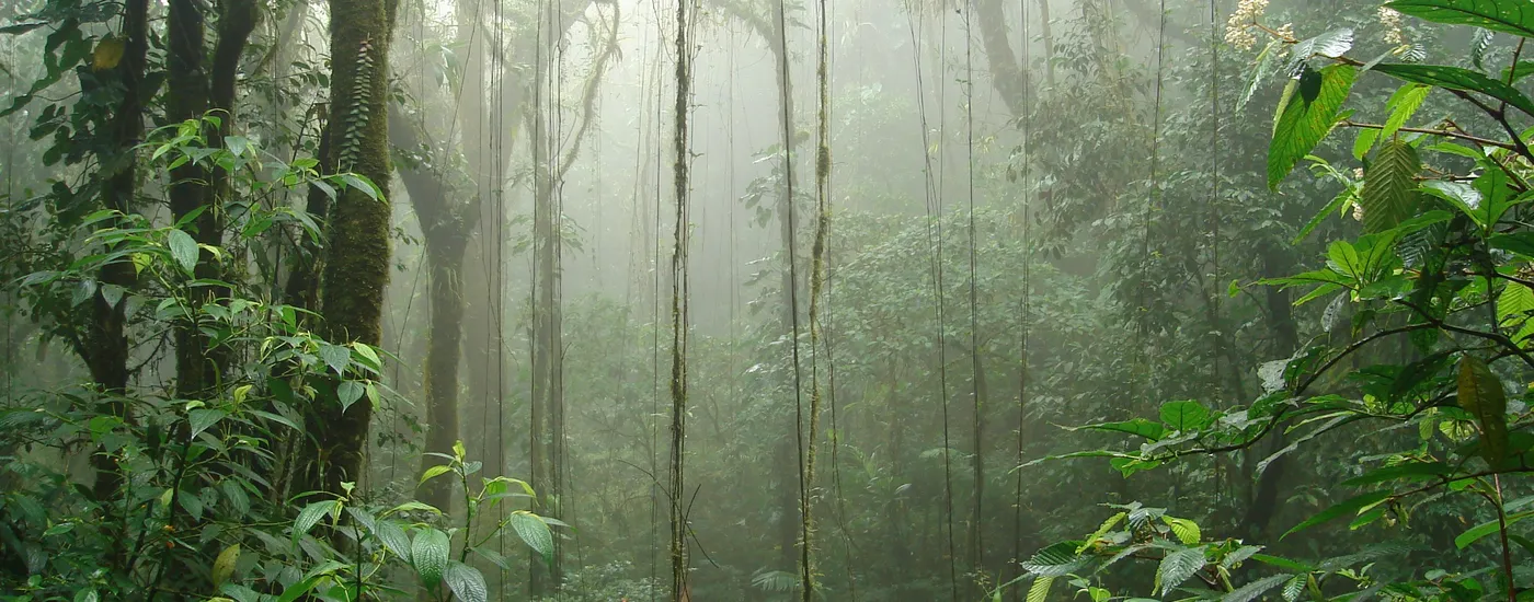 Costa_Rica_Monteverde