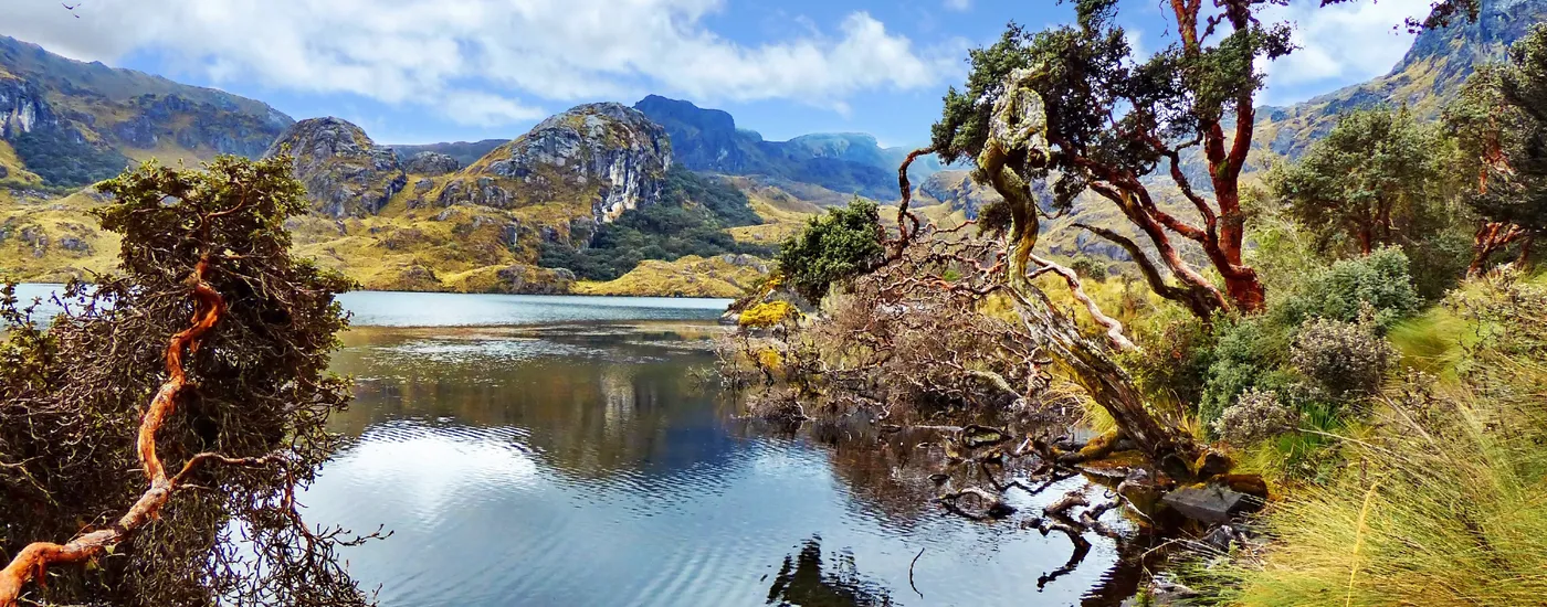 Ecuador Cajas Nationalpark Panorama 1166321011