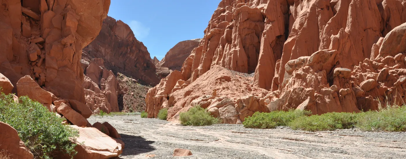 Argentinien_Cafayate_Straße