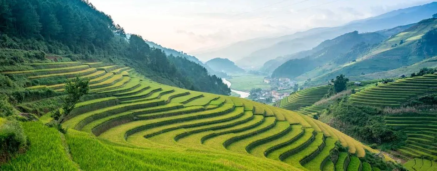 vietnam sapa grüne terrassen