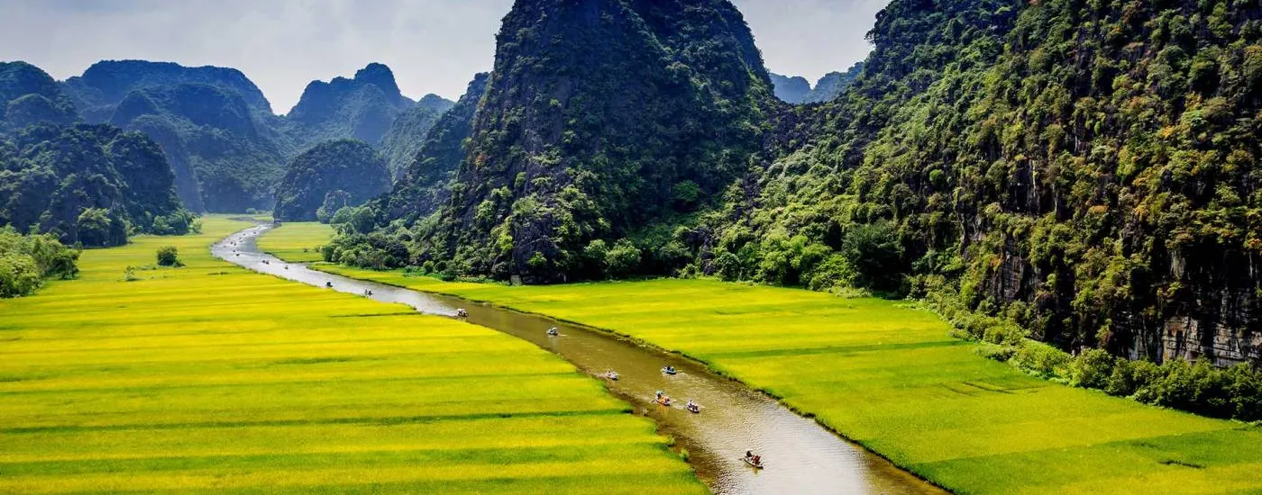 vietnam ninh binh reisfelder