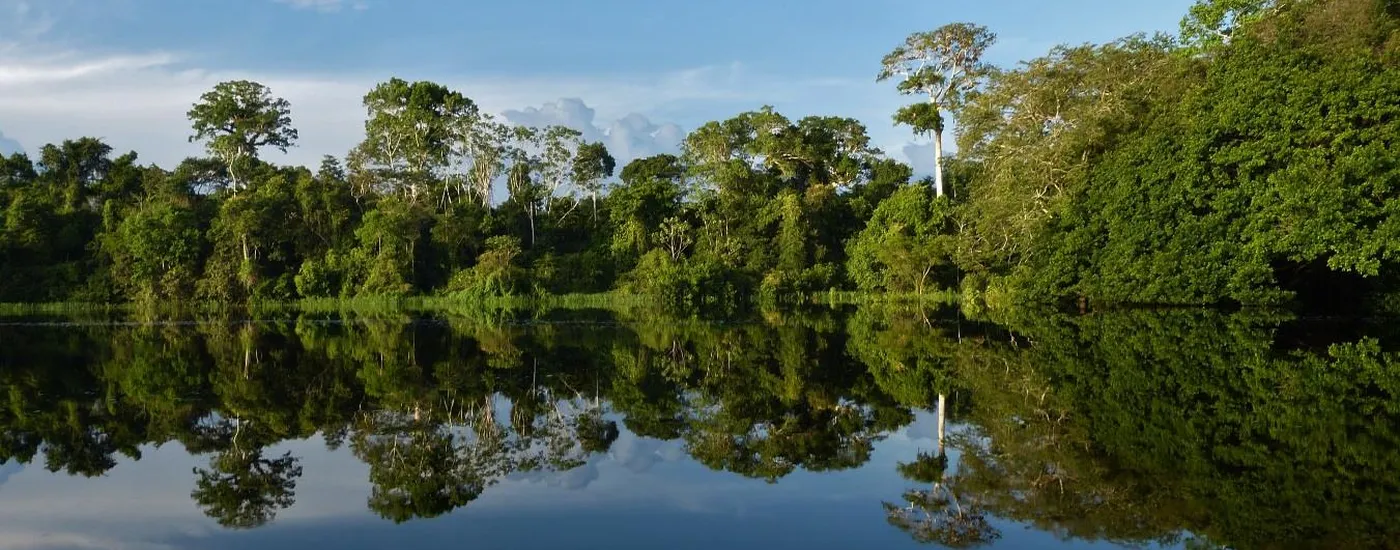 Kolumbien Amazonas Lago de tarapoto Aromabild Panorama