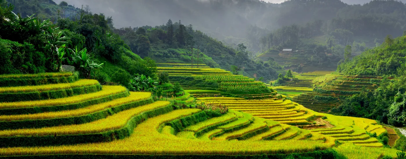Vietnam Reis Felder Mu Cang Chai - Wanderung Sapa Rundreise Vietnam