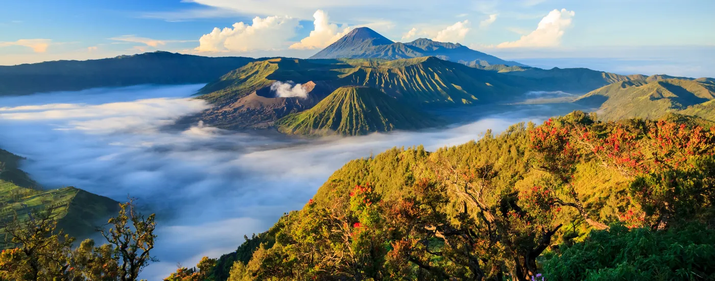 Indonesien Vulkan Mount Bromo, Ost Java iStock 181928587