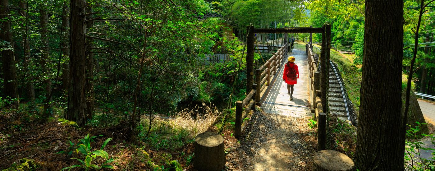 japan_Kumano Kodo
