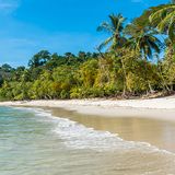 Costa Rica Reisen - Ihr Spezialist Papaya Tours