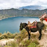 Ecuador Reisen - Ihr Spezialist Papaya Tours