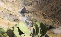 Hans Michael Lauxmann