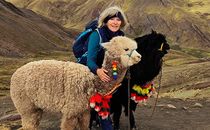 Sybille Elfriede Schönig