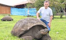 Heinz Rainer Bungert