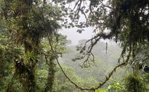 Johannes Frederik Gille