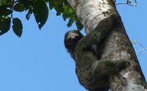 Bernhard Albrecht Söder