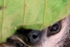 Astrid Jatzkowski und Frank Thee