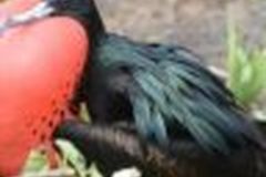 Eva Maria Jung, Alexander Bartmann