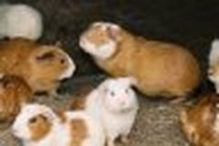 Marie-Luise und Christian