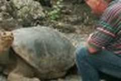 Prof. Dr. Hajo Schneck