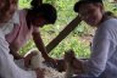 Lena Harris & Tom Walliser