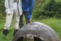 Norbert Zechner & Yvonne Salbrechter