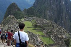 Alessandra Cipriano Zink