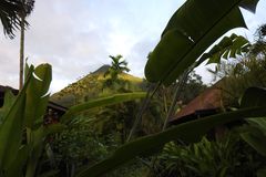 Renate Luise Ellensohn