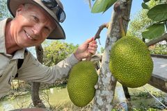 Karl Jürgen Stomper