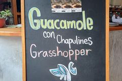 Gabriele Marie-Luise Göhler