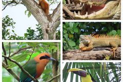 Kerstin Elfriede Hahn