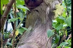 Juergen Hermann Hieser