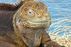 Katrin Anna Barabasz