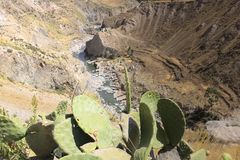 Hans Michael Lauxmann