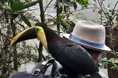 Isabell Simone Hofmann