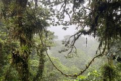 Johannes Frederik Gille