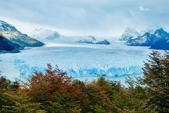 Julia Sabine Gebelein