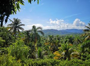 Kuba-Baracoa-Humboldt-Nationalpark-Wanderung2