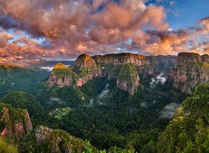 bolivien-Amboro-Nationalpark