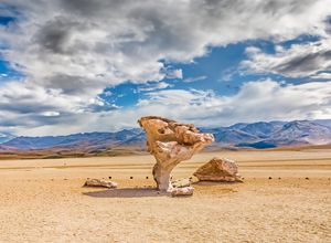 bolivien-Arboldepiedra