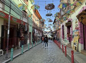 Bolivien - La Paz - Hexenmarkt