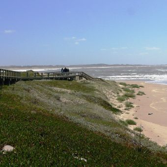 uruguay jose ignacio